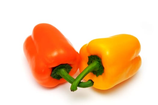 fresh colourful paprika isolated on white background