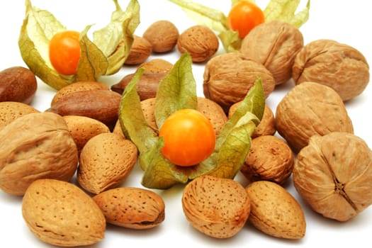 Physalis and nuts isolated on white background