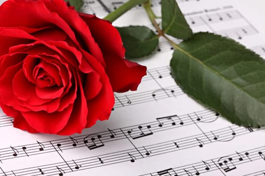 Red rose on a leaf with musical notes.