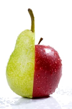 Diet