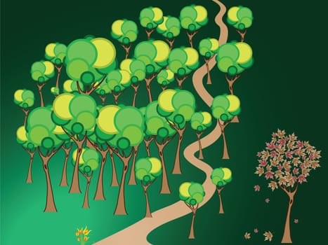 forest path