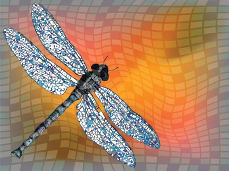 dragon fly