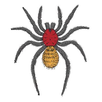 spider cartoon