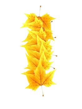 Foliage