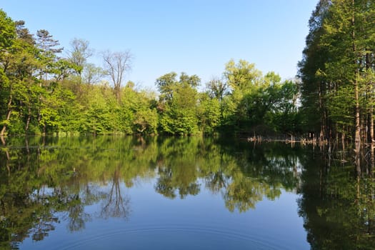 a large and beautiful forest reflected in a lake