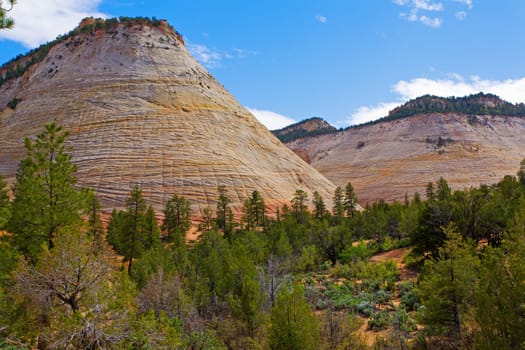 View of Checkerboard Mesa inside Zion national park