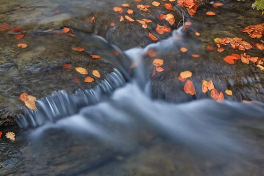 Autumn brook with mini waterfalls flowing in Otzarreta Forest, Bizkaia, Spain