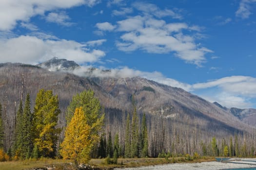 Vermillion River, Kootenay National Park, British Columbia, Canada