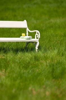 Spring and summer - White romantic bench in meadow on sunny day