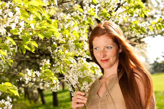 Summer - woman blossom tree park nature smell enjoy garden
