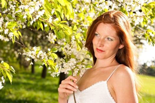Summer - woman blossom tree park nature smell enjoy garden
