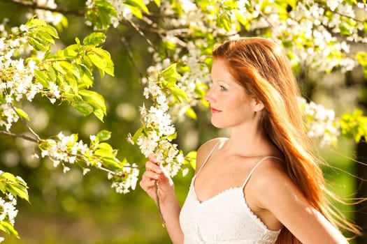 Summer - woman blossom tree park nature smell enjoy garden