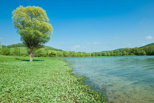 Natural mountain lake with transparent water