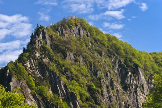 a beautiful wooded mountain slope with trees