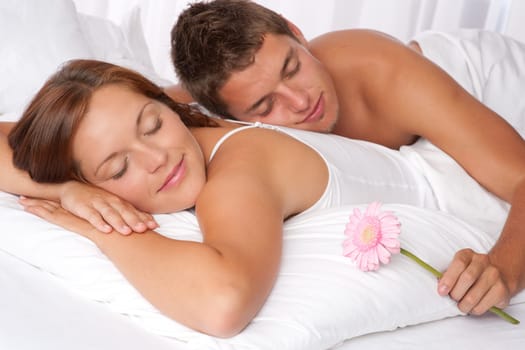 Young couple lying in bed, man holding Gerber daisy
