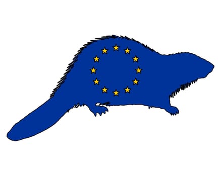 European beaver