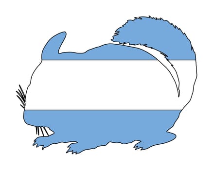 Chinchilla Argentina