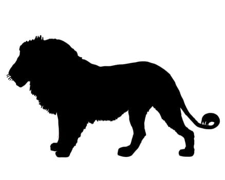 Lion Silhouette