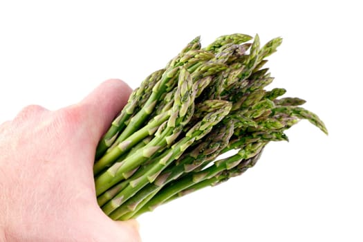 Man holds a bunch of this spring vegetable in his hand isolated on white.