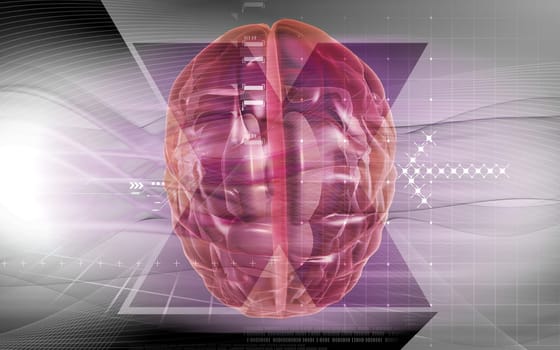 Digital illustration of brain in colour background