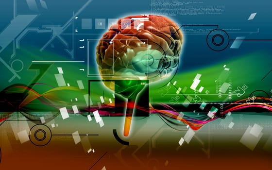 Digital illustration of brain in colour background