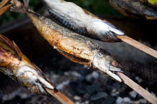 Steckerlfische
