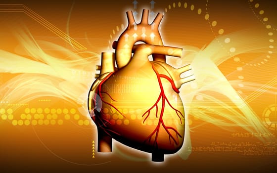Digital illustration of heart in colour background