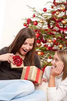 Two smiling women with Christmas present in front of tree