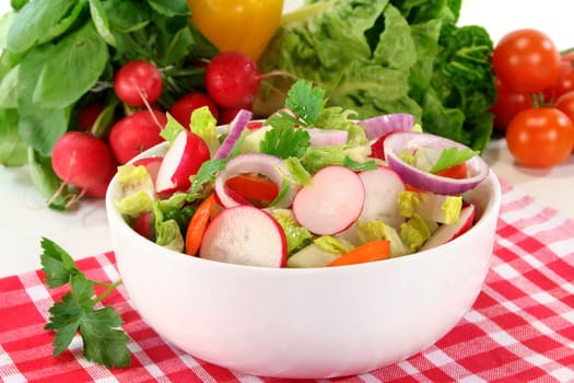 mixed salad with lettuce hearts,tomato and radishes