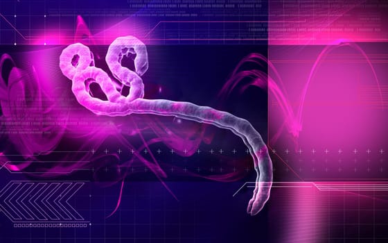 Digital illustration of Ebola virus in colour background