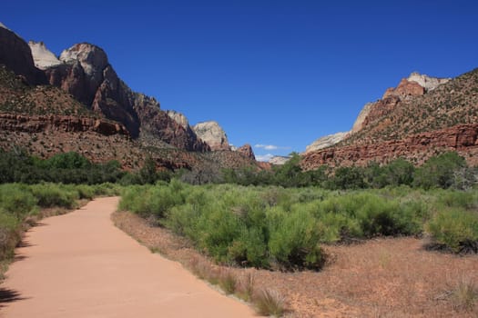 Zion National Park,Utah,USA