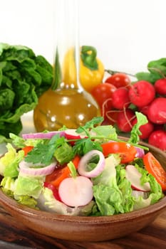 mixed salad with lettuce hearts,tomato and radishes