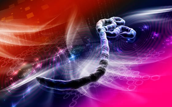 Digital illustration of Ebola virus in colour background
