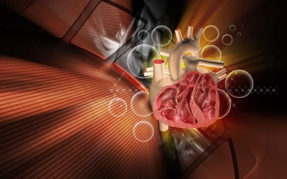 Digital illustration of heart in colour background
