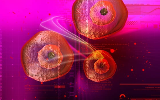 Digital illustration of ovum cell in colour background