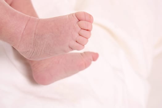 baby,newborn,birth,foot,feet,foot,family,child,naked,skin,detail,close-up,cohesion,love,affection,white,happiness,offspring,baby foot,toe,leg