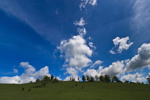 a green field and blue sky with clouds