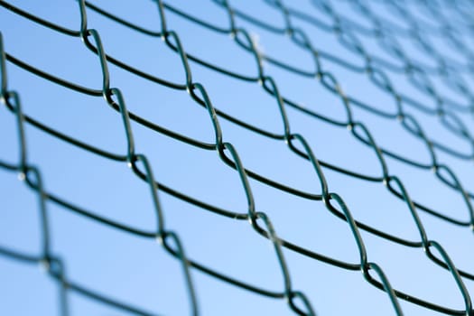 Wire mesh fence