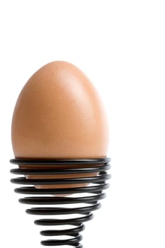 Organic egg