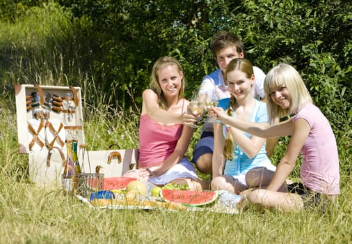 friends at a picnic