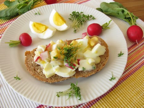 Egg salad with cress and radishes on spelt bread
