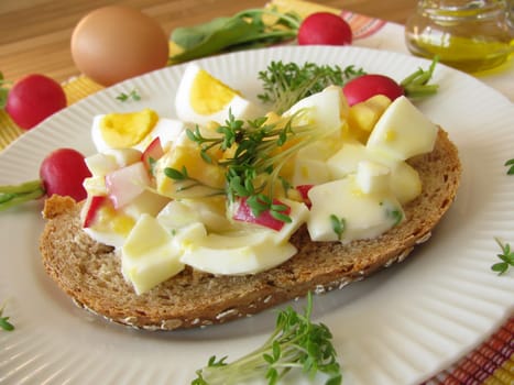 Egg salad with cress and radishes on spelt bread