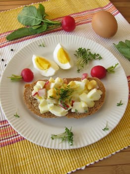Egg salad with cress and radishes on spelt bread