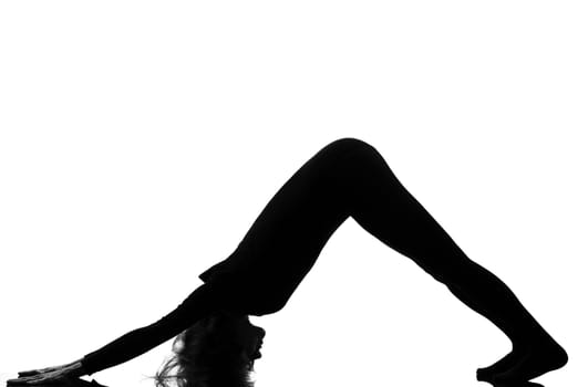adho mukha svanasana woman yoga pose posture position in silouhette on studio white background Downward Facing Dog Position