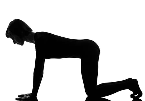 adho mukha svanasana woman yoga pose posture position in silouhette on studio white background Downward Facing Dog Position