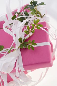 Gift