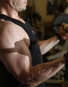 bodybuilding workout in gym. Male lifting free weights. training with barbell to build muscle and biceps