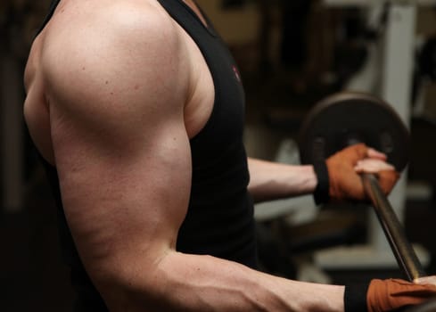 bodybuilding workout in gym. Male lifting free weights. training with barbell to build muscle and biceps