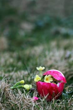 Blooming Easter