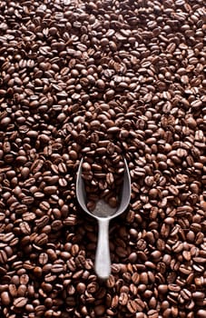 Coffee beans and a scoop - selective focus